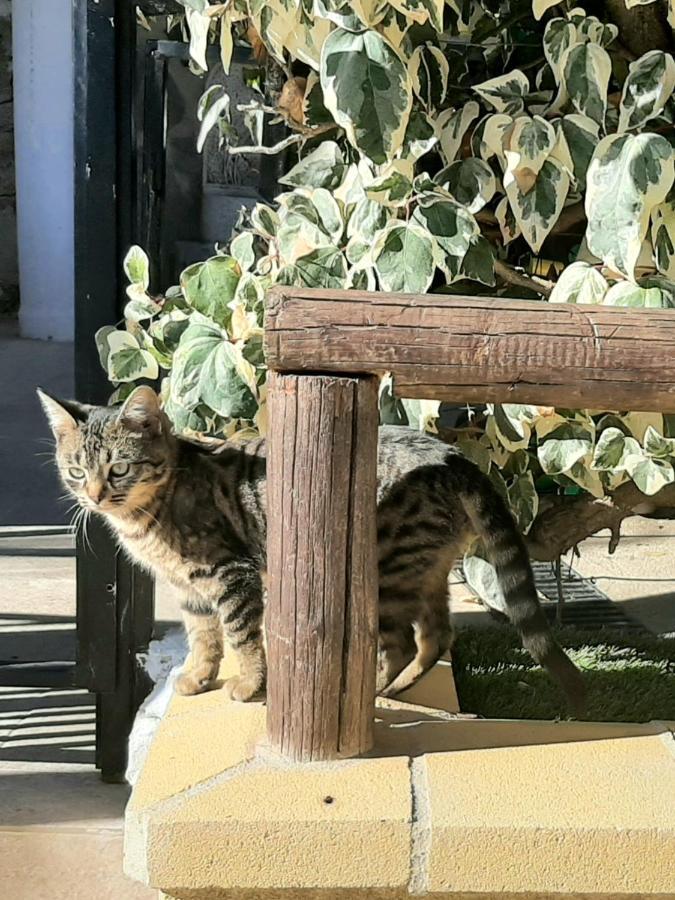 Apartamento Rural Cristi Ronda Bagian luar foto