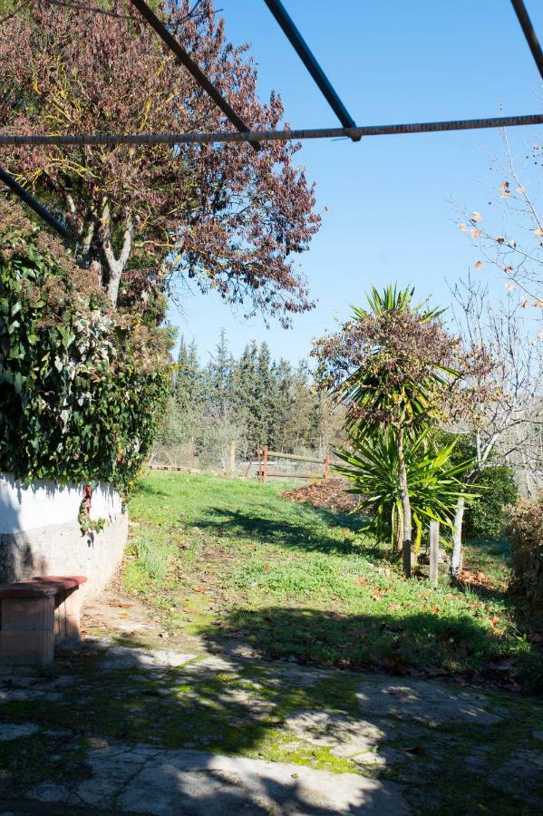 Apartamento Rural Cristi Ronda Bagian luar foto
